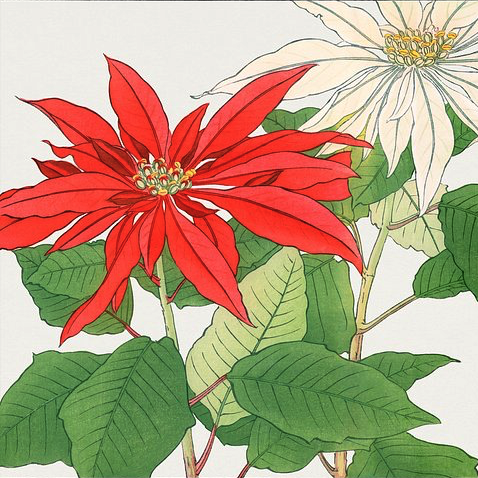 December 2025 Meetings