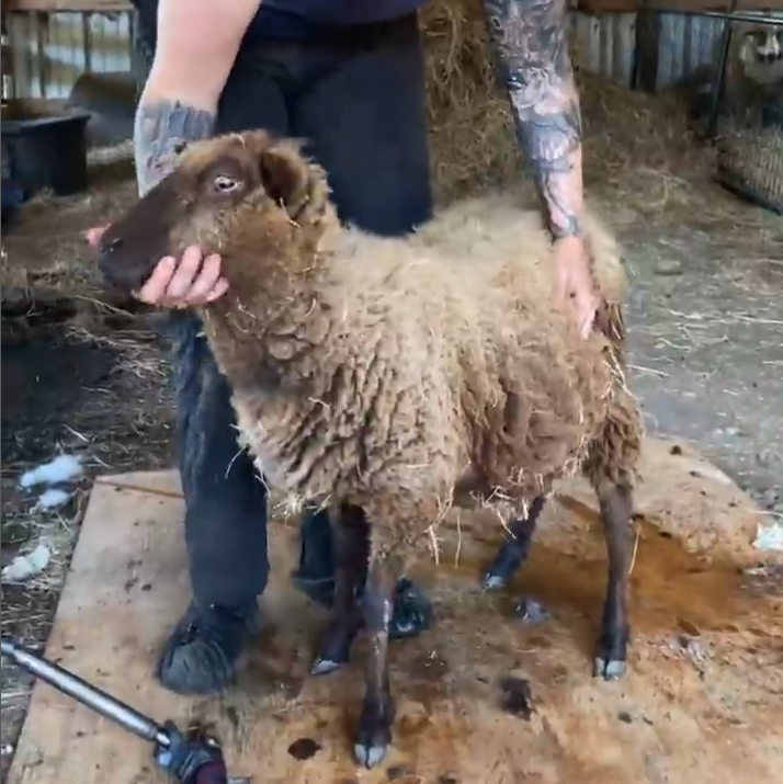 September 2025 Meetings